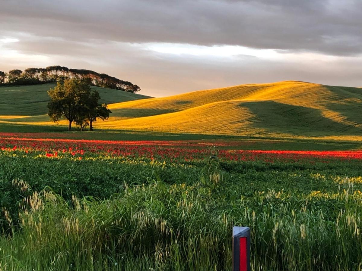 Tuscany Charme Boutique House Monteroni dʼArbia Dış mekan fotoğraf